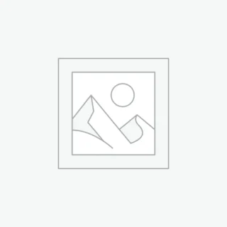 Fusce ullamcorper dapibus